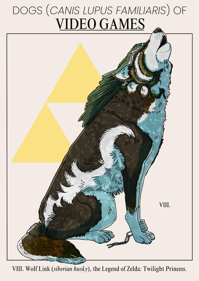 Carte postale - Link 