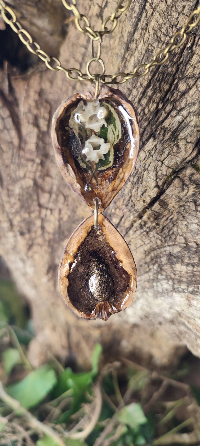 Coléoptère de Mort