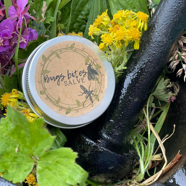 Bug bites salve