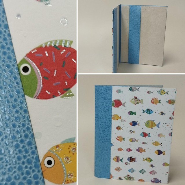 Protége carnet de santé