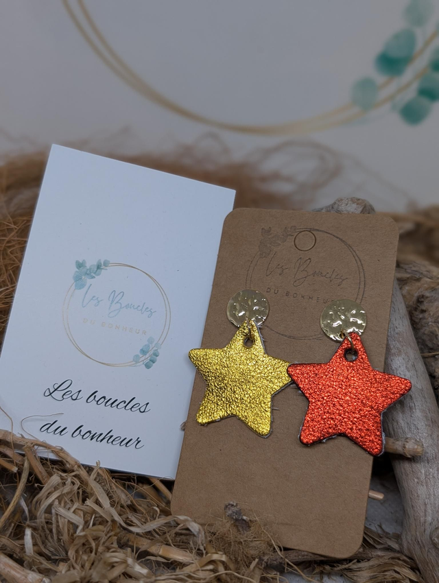 Boucles d&#039;oreilles Asymétrique ag117