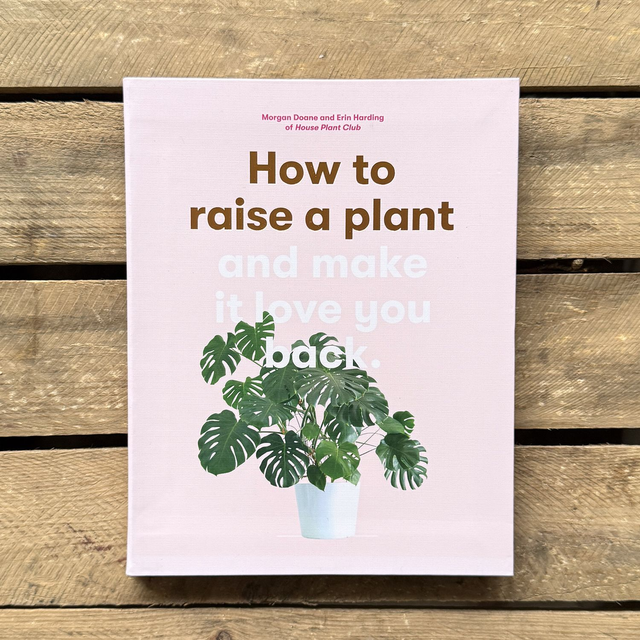 How to rasie a plant by Morgan Doane and Erin Harding 