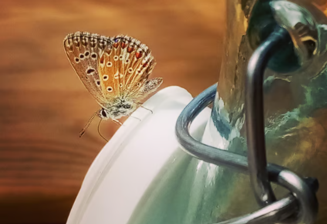 Séance en Présentiel (2h00) Arcachon/Brive/BX