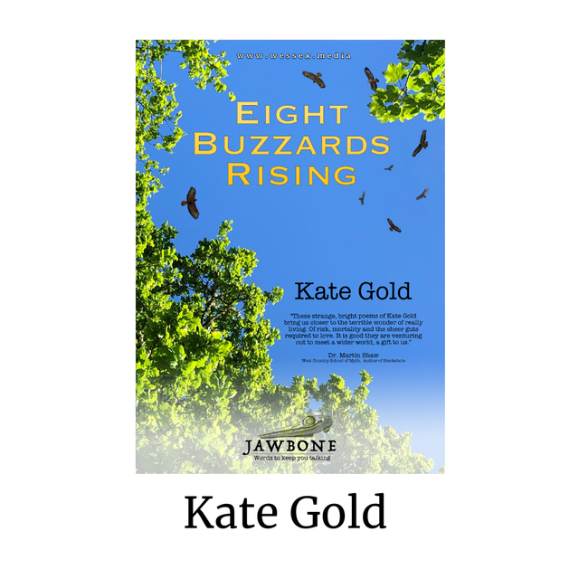 Eight Buzzards Rising - Kate Gold