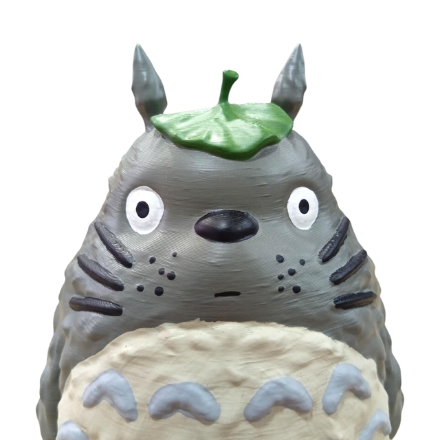 Totoro M