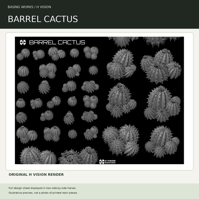 H Vision - Barrel Cactus