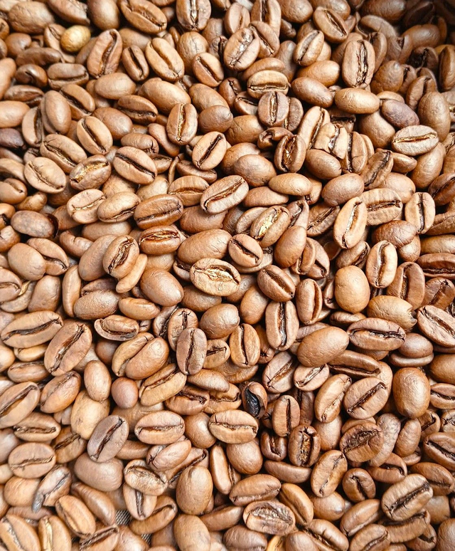 Typica Long Berry Arabica_Anaerobic Natural (Da Sar)_Pre-Order