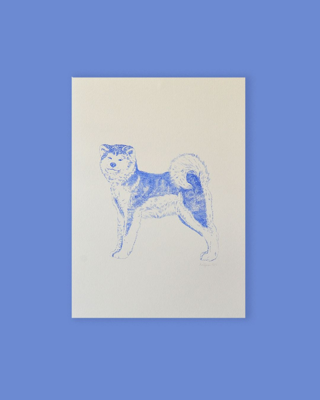 Affichette A4 akita inu - série les animaux bleus -