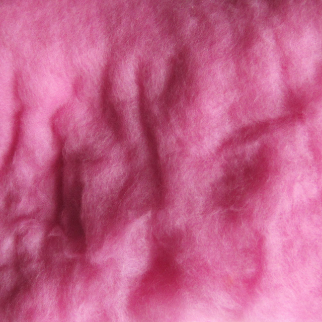 Lana cardata - (C) CICLAMINO (50 gr.) (1)