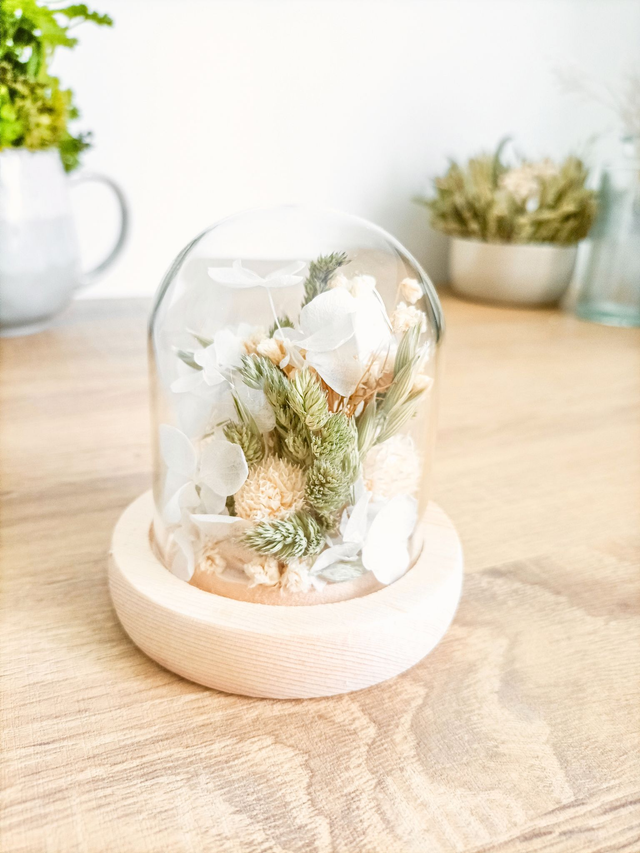 L'écrin d'Hibi - Sauge et Coton