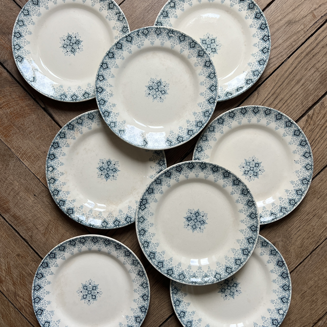 8 assiettes en terre de fer décor Pasteur 