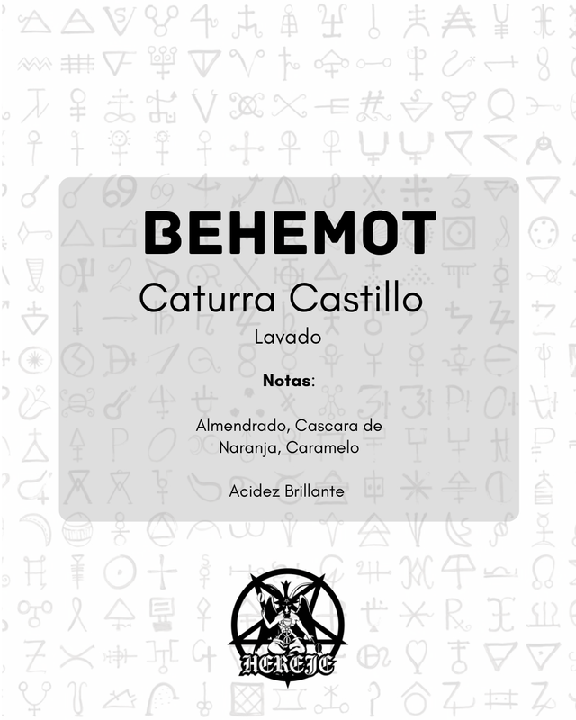 Behemot - Caturra Castillo - Lavado - 250g