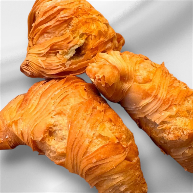 Chocolate Aragostine 