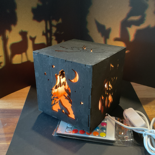 Cube la forêt de nuit 