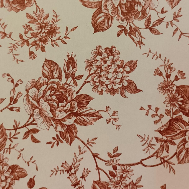 Album photo/Sketchbook