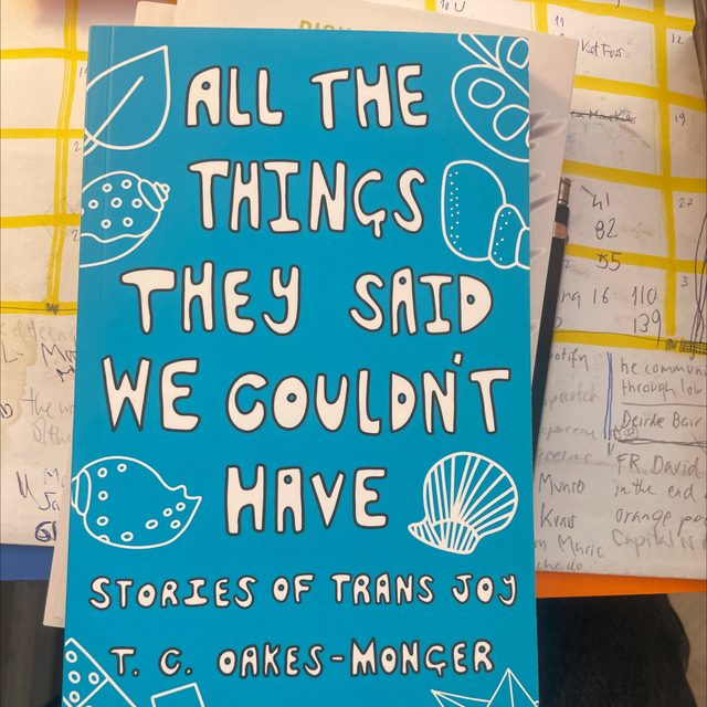 All The Things They Said We Couldn’T Have T C Oakes Monger