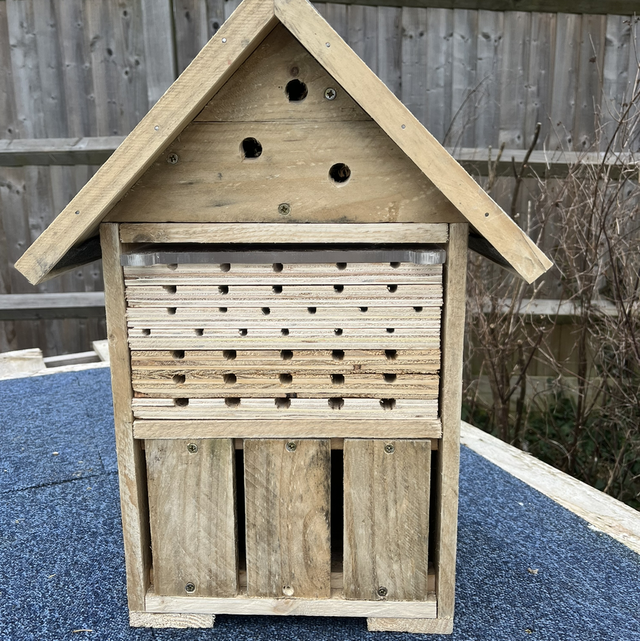Bug hotel