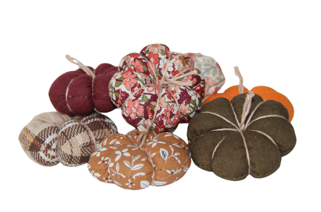 Citrouille avec herbe à chat - Automne