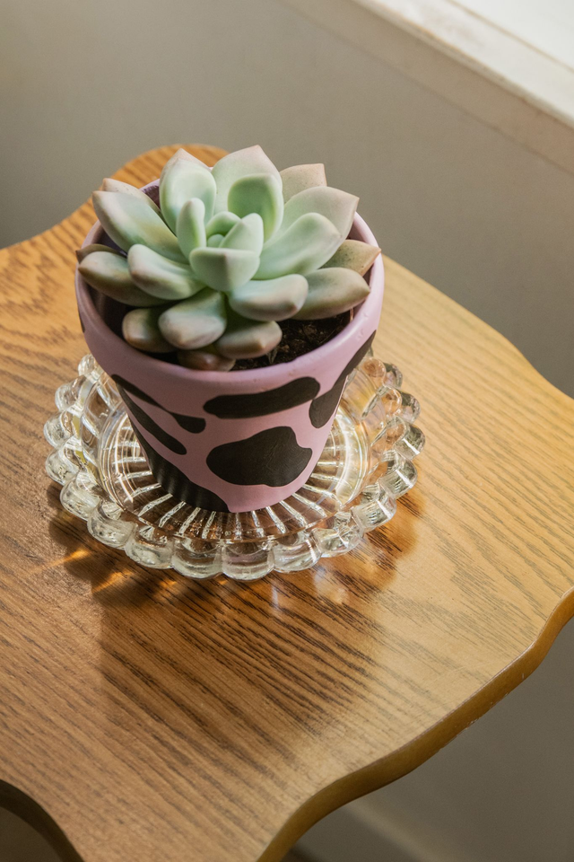 Coupelle en cristal sculpté✨ Soucoupe pour plantes ou vide-poche