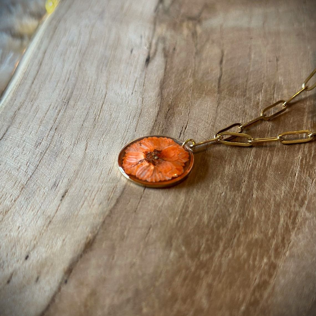 Carolane - Soleil Flamboyant