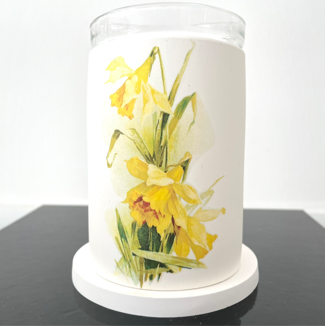 Daffodils