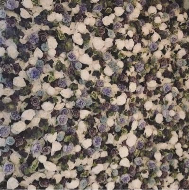 Wall Hire - Blue Ivy 