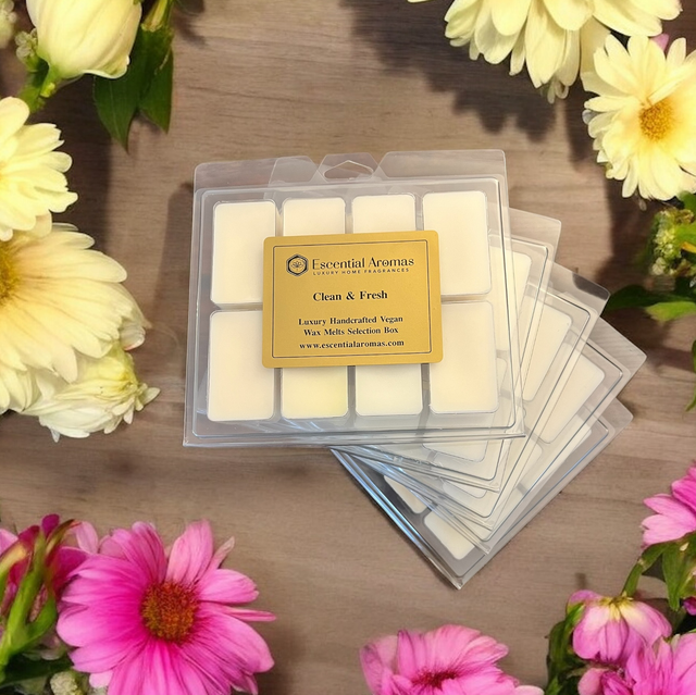 Clean &amp; Fresh Selection Box