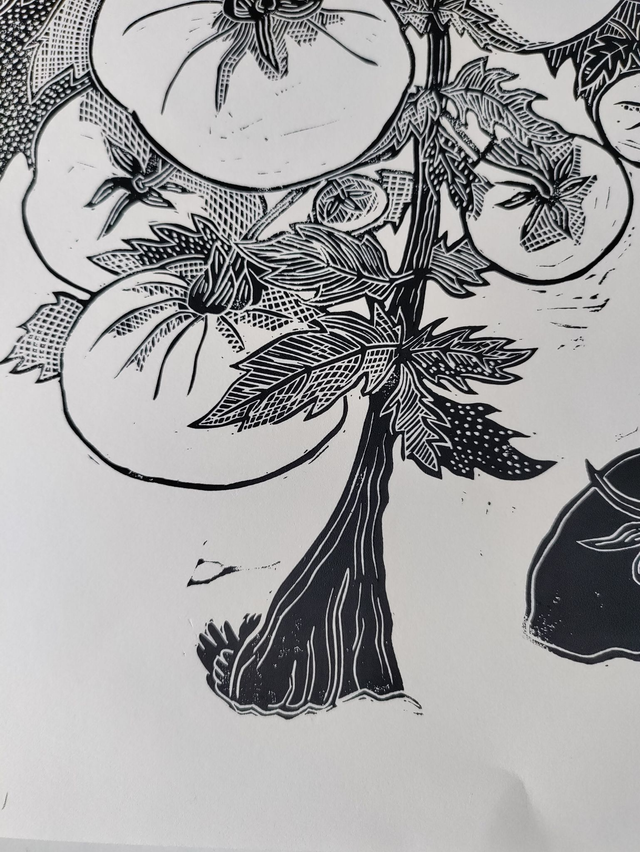 linogravure plant de tomate A4