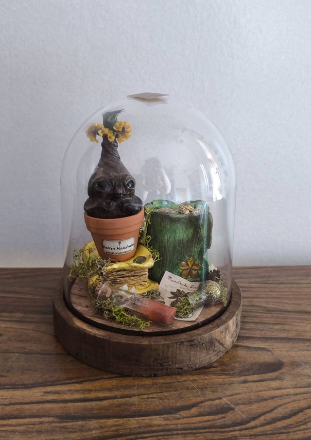 Plante magique Mandragore