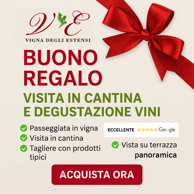 Z1 - Buono Degustazione