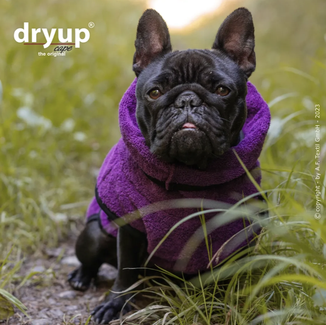 Dryup Cape 'Mops/Bulldogge' von Action Factory