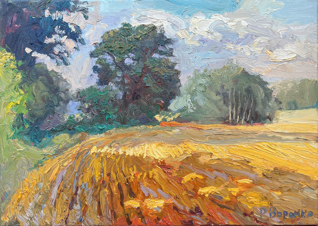 „Sommerfeld im Abendlicht“ – Öl auf Leinwand, 50 × 70 cm, 2023 | Summer Field in Evening Light