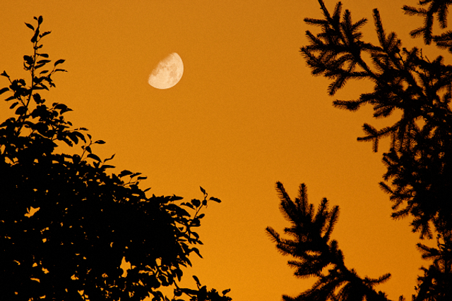 Ambiance soirée d'été
