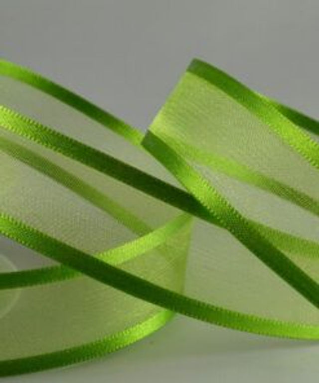 RB06 Green Satin Organza Ribbon 