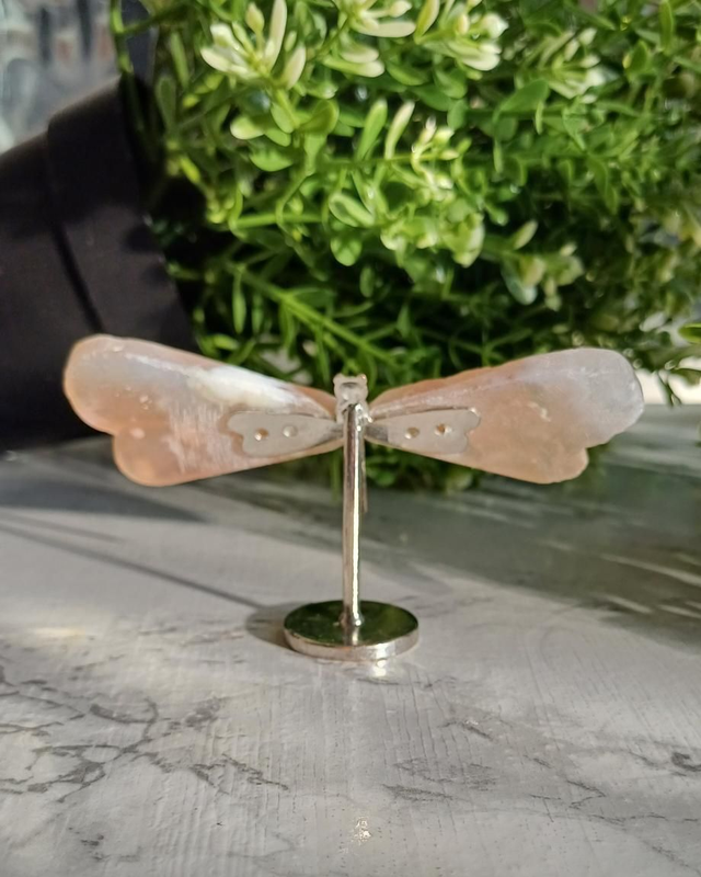 Flower Agate Dragonfly on Stand