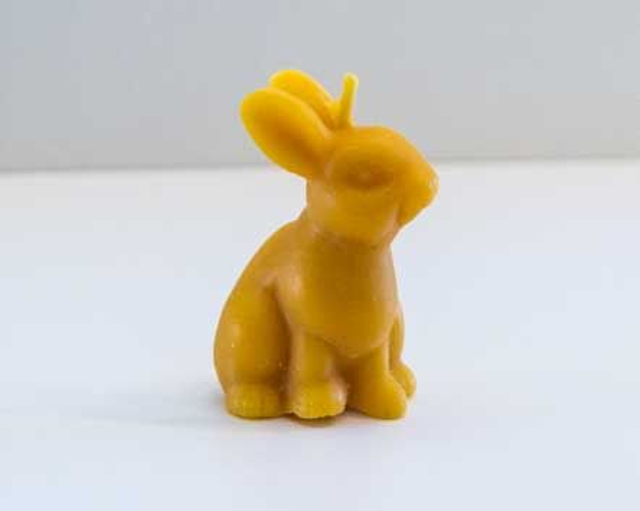 Petit lapin