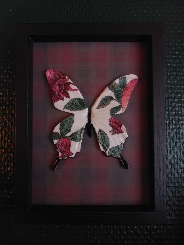 Cadre noir et rouge avec un papillon