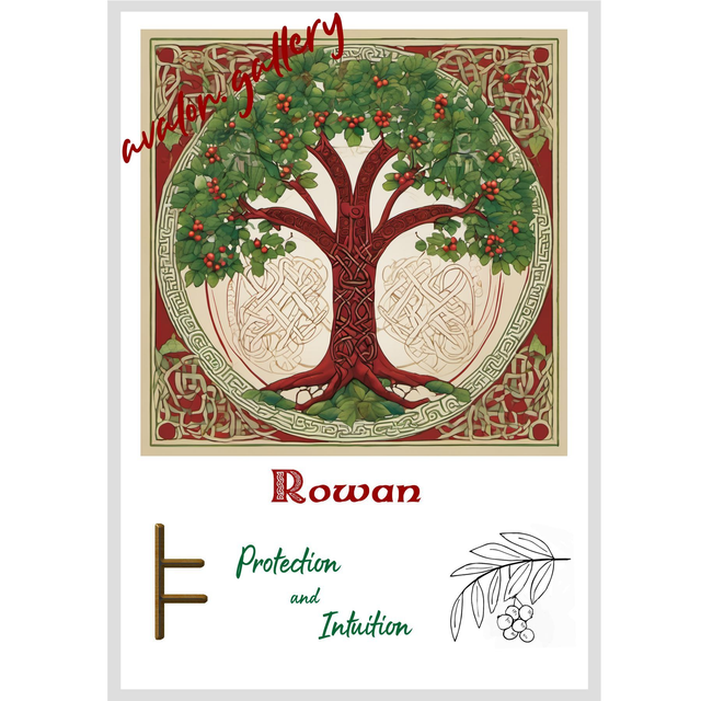 02. Rowan - 'Protection and Intuition'