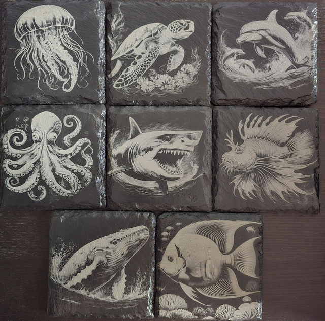 Animaux et plantes de l&#039;océan