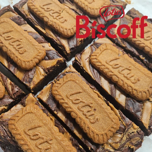 Biscoff Brownie Slice
