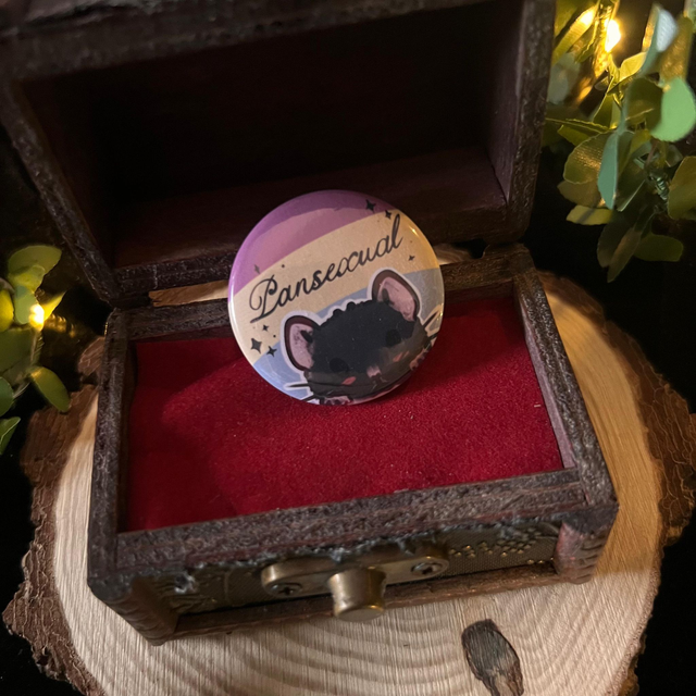 Chapa LGBTQ+ Rats // Pansexual