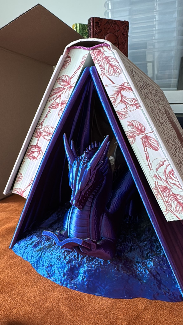 Book Stand Reading Dragon