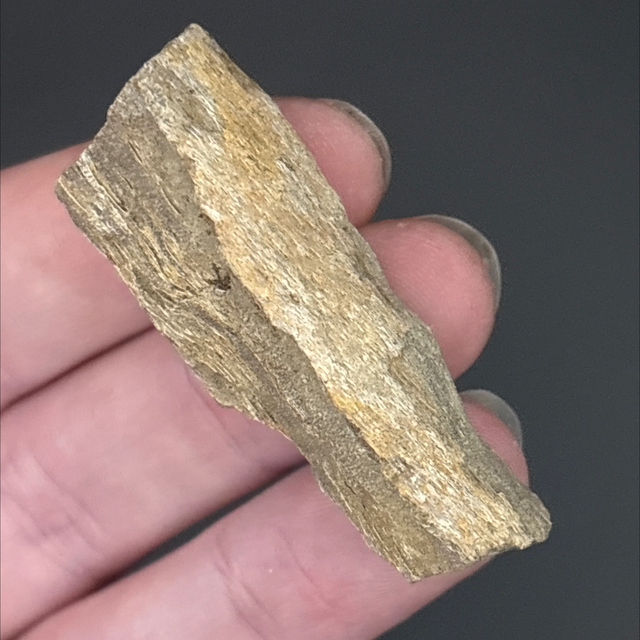 Edmontosaurus Bone Fragment 