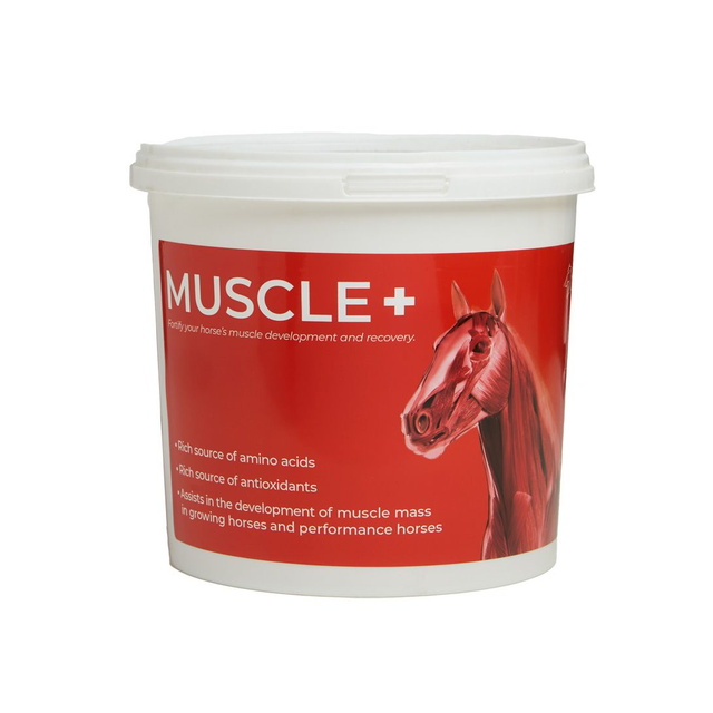 Muscle + 