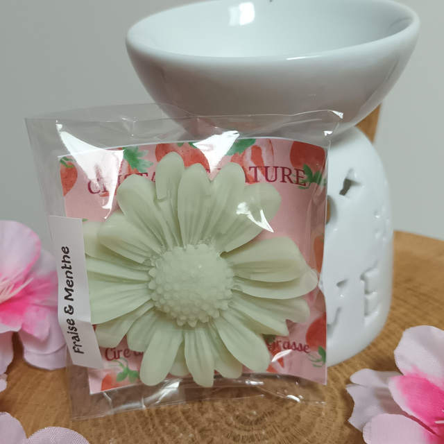 Fondant parfumé Fraise & Menthe