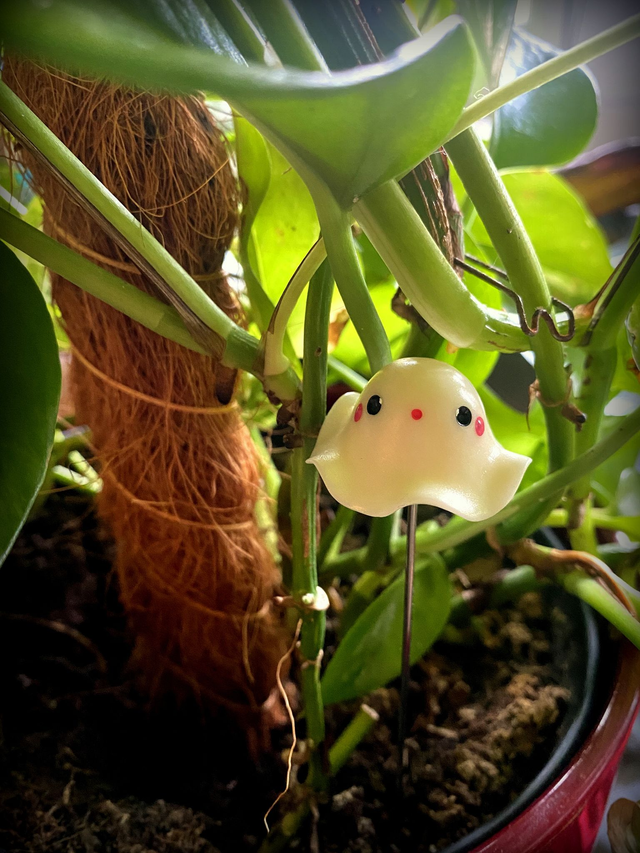 Pics décoratifs à plantes - P'tit esprits trop kiki