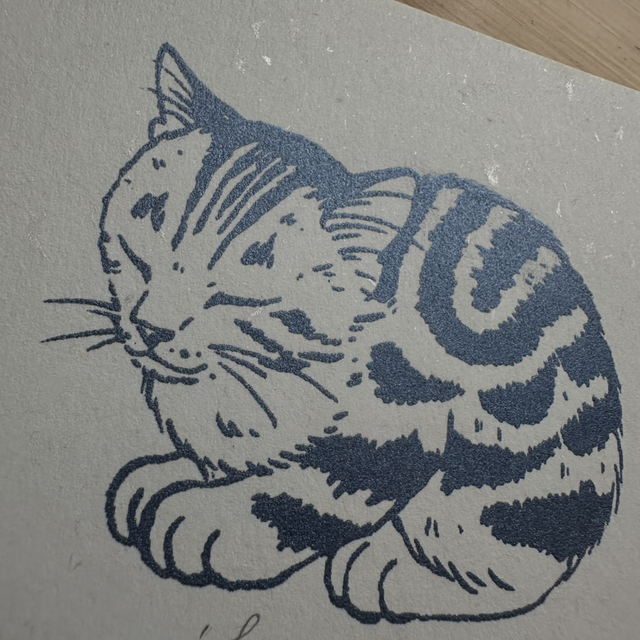 Cats at Play - Fluffiest Dreams