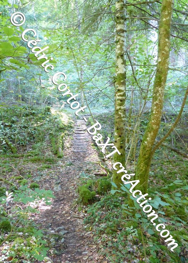 Carte postale - Paysages et divers (Ref P1170240)