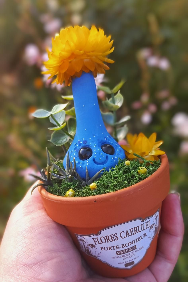 Flores Caerulei