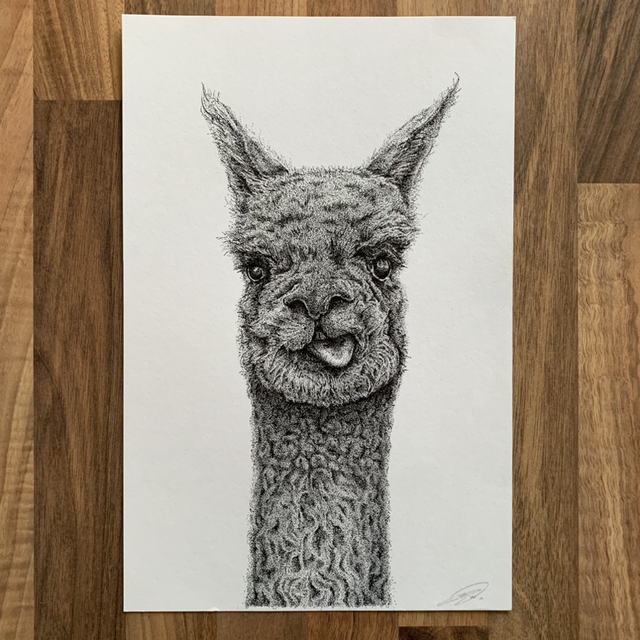 Cheeky Alpaca original 